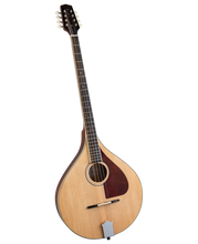 Load image into Gallery viewer, Trinity College Bouzouki